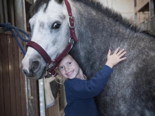 Vincent Martens manege