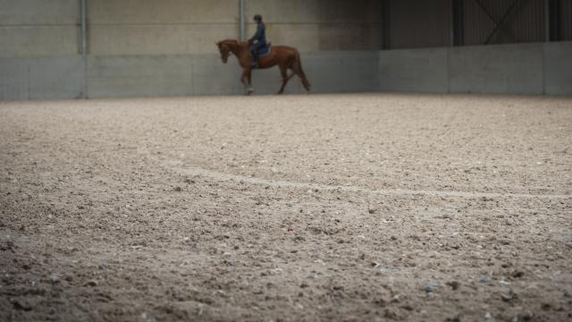 Vincent Martens manege